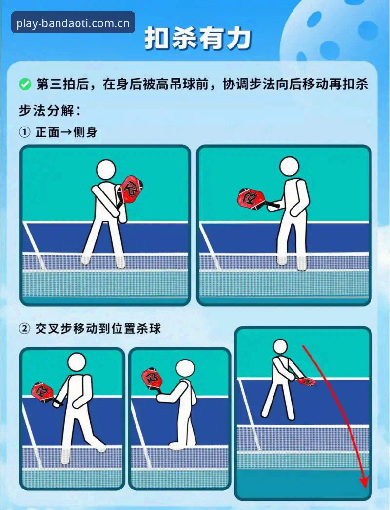半岛体育平台新手操作教程：一步步带你从零开始